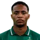 Vinicius